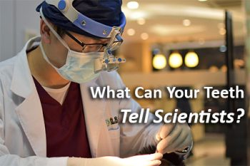 Savannah dentist, Dr. Comer, at Christopher Comer, DMD, tells patients what kind of information scientists have discovered by studying fossil teeth.